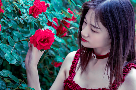 第九届内蒙古自治区文化产业博览交易会启幕